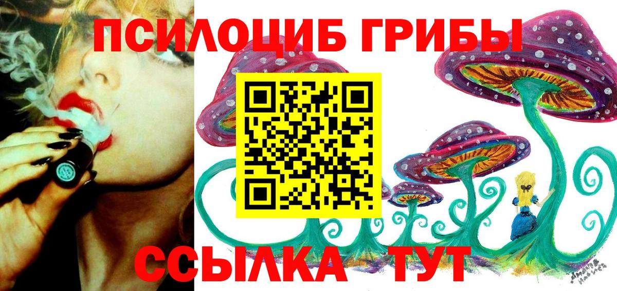 Псилоцибиновые грибы прущие грибы Родники