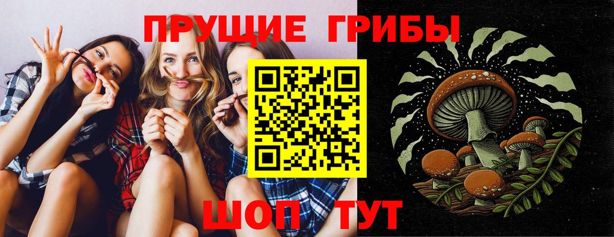  COCAIN Родники